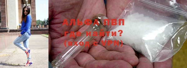 стафф Белокуриха