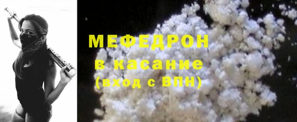 молекула духа Богданович