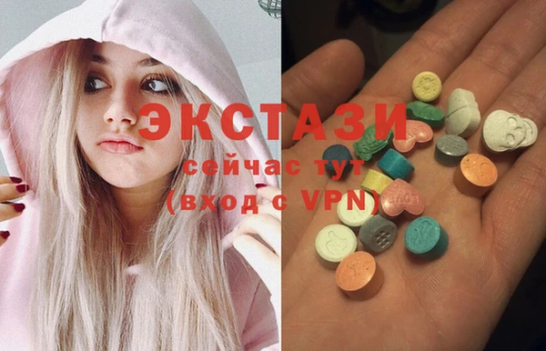 молекула духа Богданович