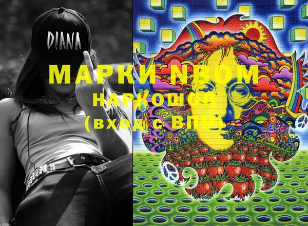 молекула духа Богданович